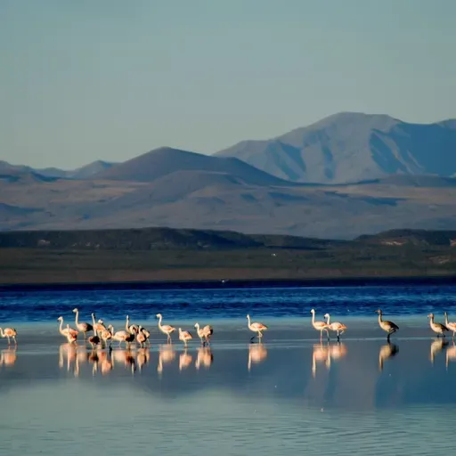 2 de Febrero "Día Mundial de los Humedales": Ecosistemas vitales para el planeta 🌍💧