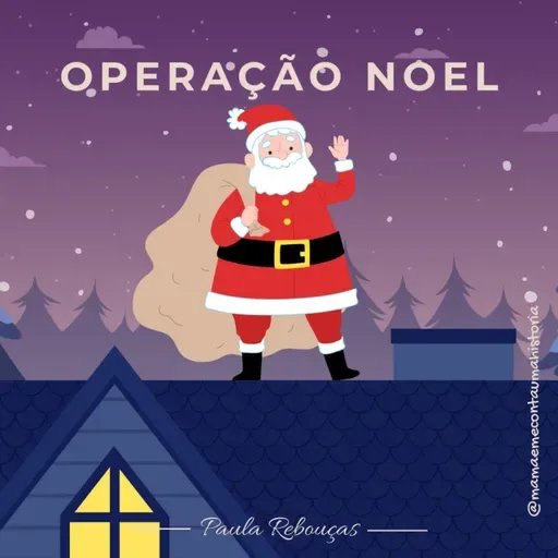 OPERAÇÃO NOEL