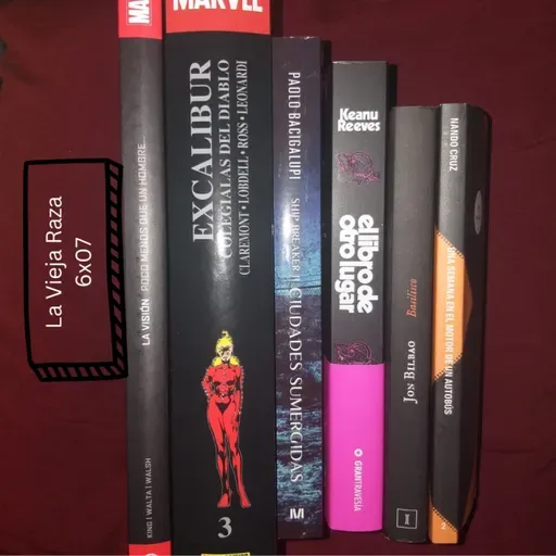 La Vieja Raza 6x07 Book haul de Noviembre