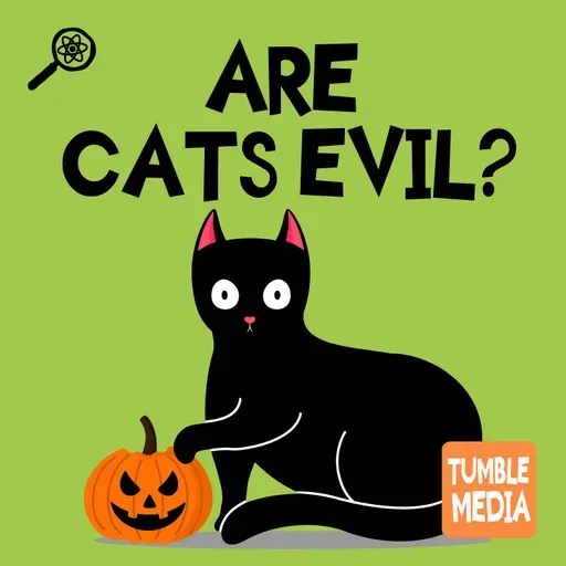 Are Cats Evil?