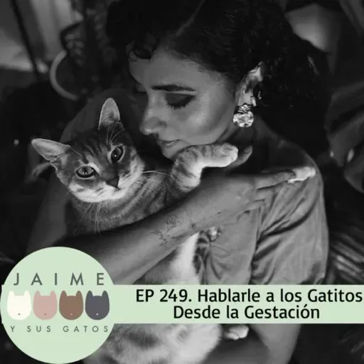 Ep 249 hablarle a los gatitos desde la gestación