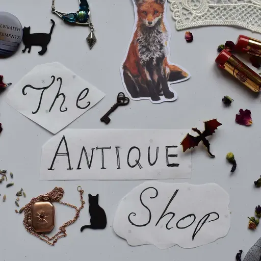 Episode 46 - The other antique shop