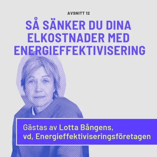 Så sänker du dina elkostnader med energieffektivisering