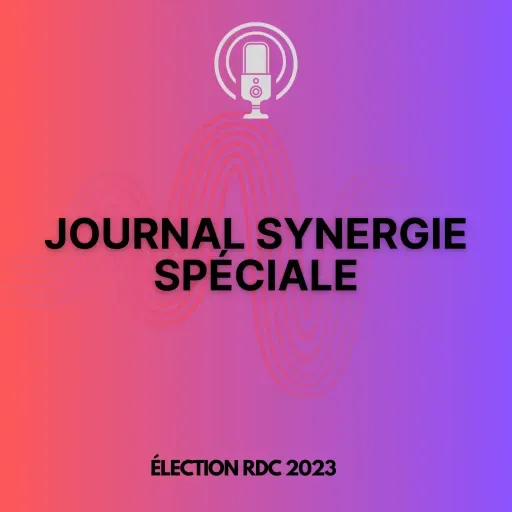 Spécial Journal Synergie Election 2023_UNPC_Nord KIVU.mp3