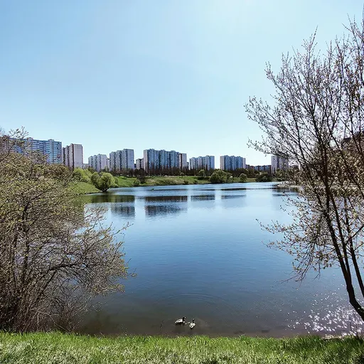 LAKE IN MOSCOW