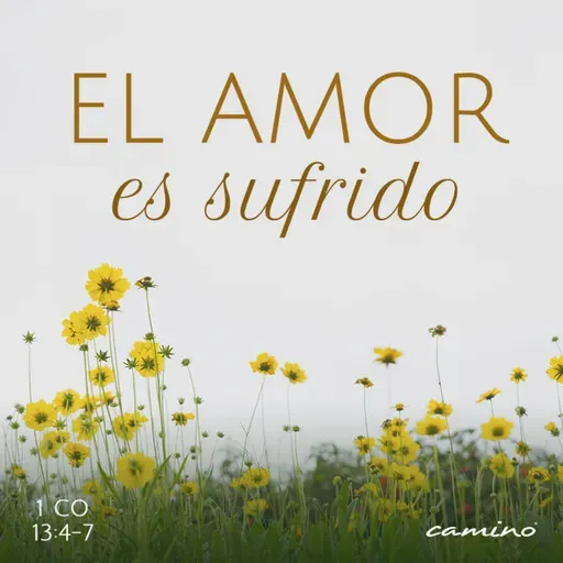 Oración 3 de marzo (El amor es sufrido)