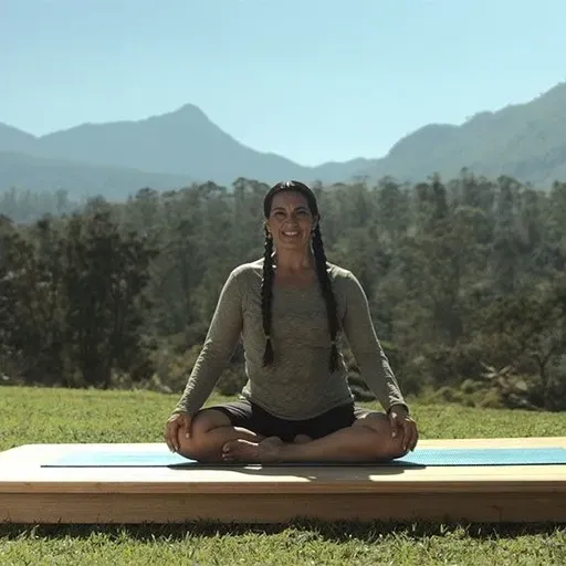 Aula de yoga online: conheça a vinyasa yoga