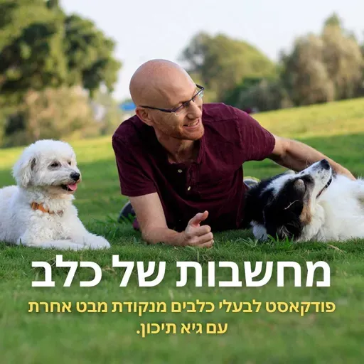 פרק 171 | ביטוחי בריאות לכלבים, בעד ונגד, הבדלים בין חברות הביטוח, הפוליסה המתאימה לך ועוד, עם עמר בינשטוק.