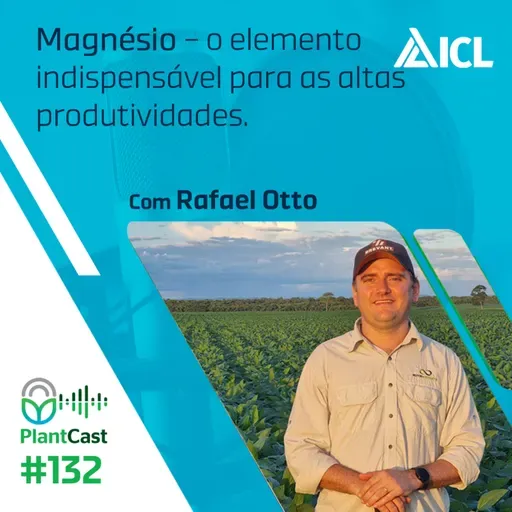 Plantcast #132 Magnésio – o elemento indispensável para as altas produtividades.