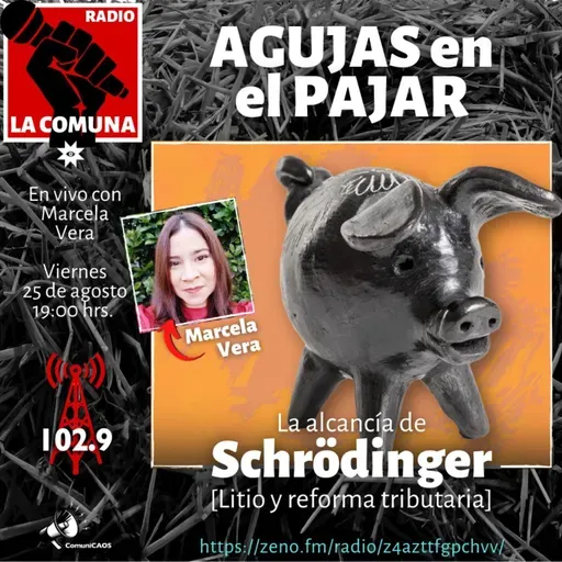 La ALCANCÍA de SCHRÖDINGER, litio y reforma tributaria