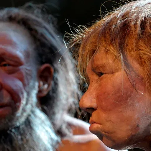 Por qué los neandertales nos ganarían en los Juegos Olímpicos