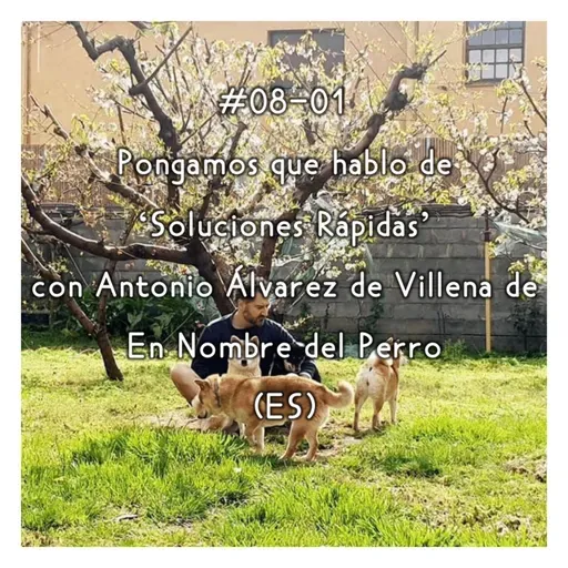 #08-01 - Pongamos que Hablo de 'Soluciones Rápidas' con Antonio Álvarez de Villena de En Nombre del Perro (ES)