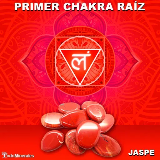 PROGRAMA ESPECIAL CHAKRA RAIZ 