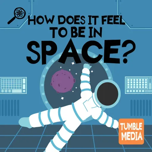 How Does it Feel to Be in Space?