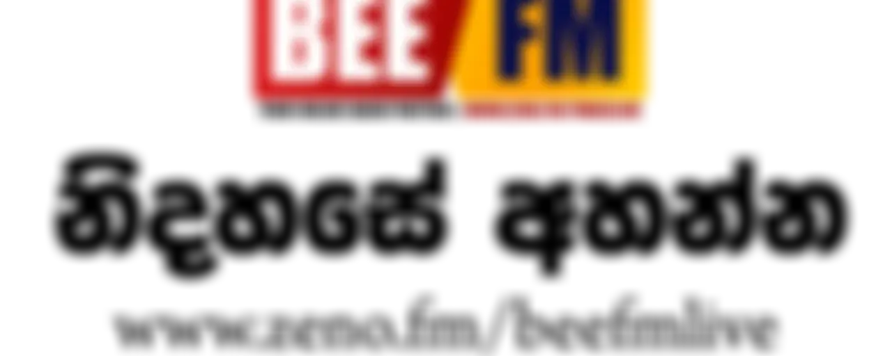 New Songs