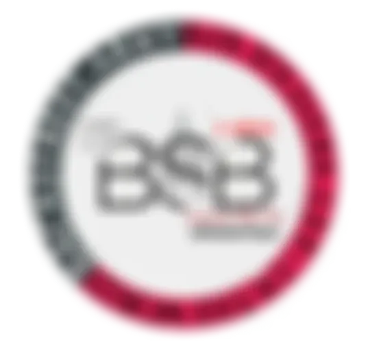 Bsb Lsf Radio