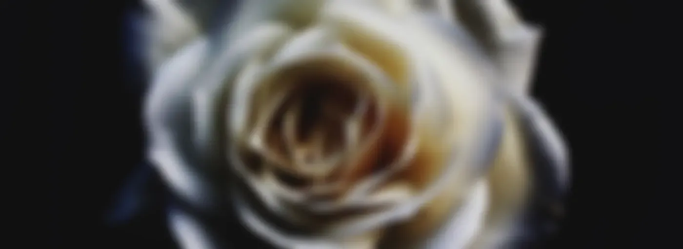 New Podcast intro
