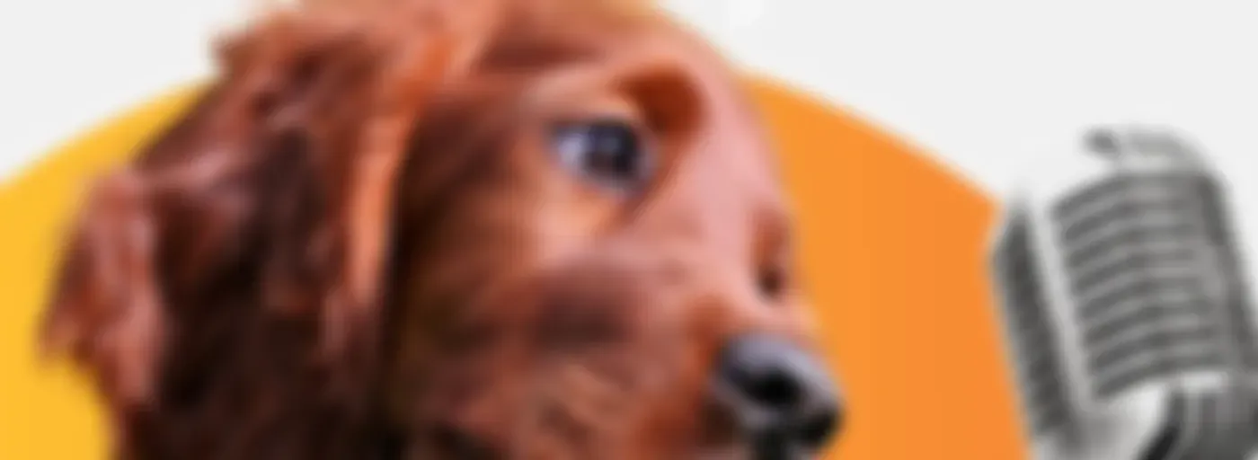 Pet Podcasts With Petwebly