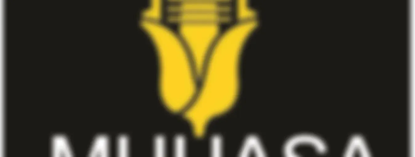 Muhasa 