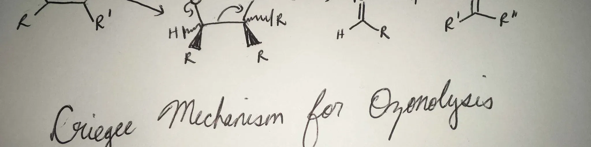 The New Chemist Station