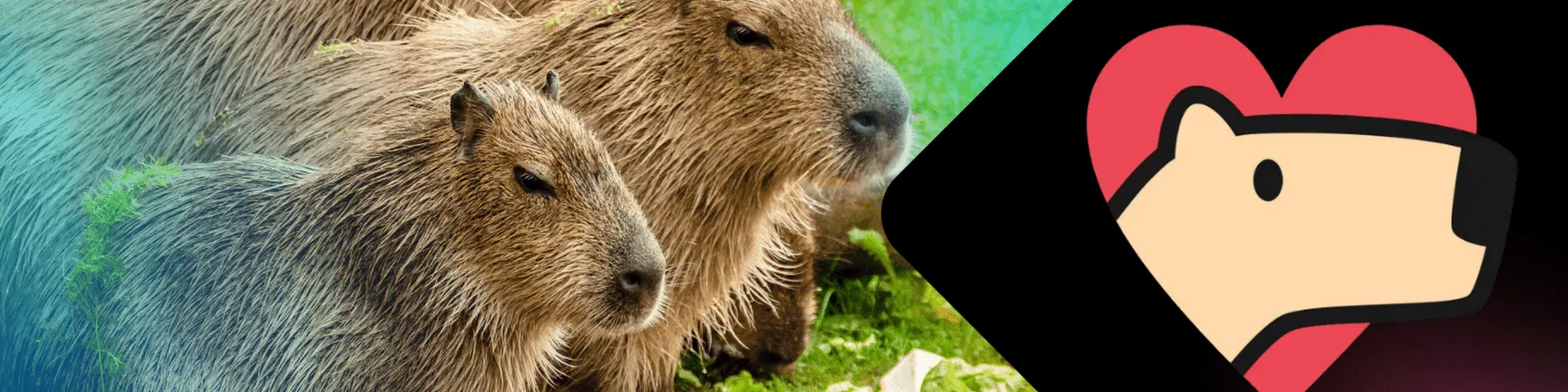 Capybara FM