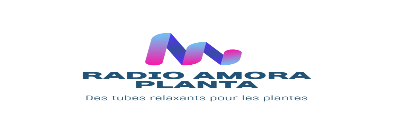 RADIO AMORA PLANTA