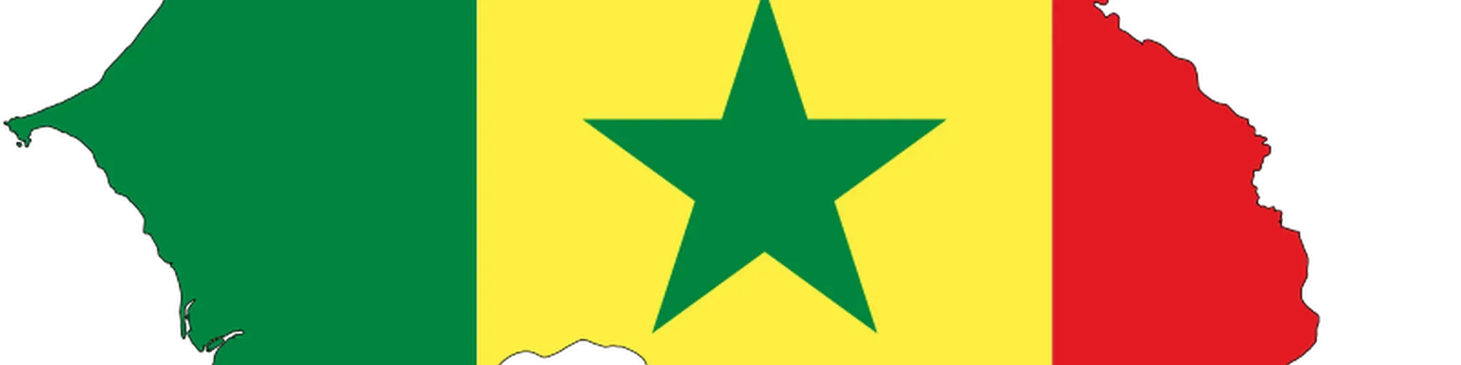 RADIO SENEGAL INTERNATIONAL (RSI)