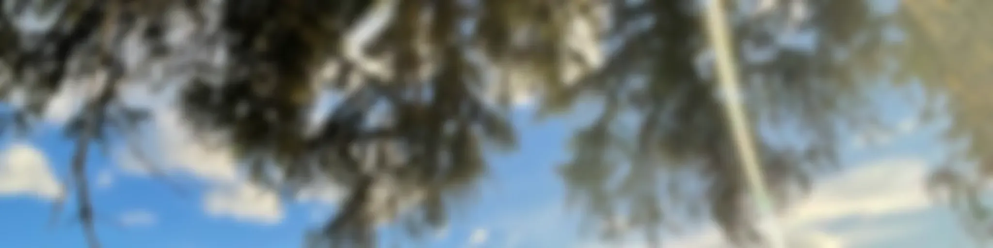 Palabras de vida