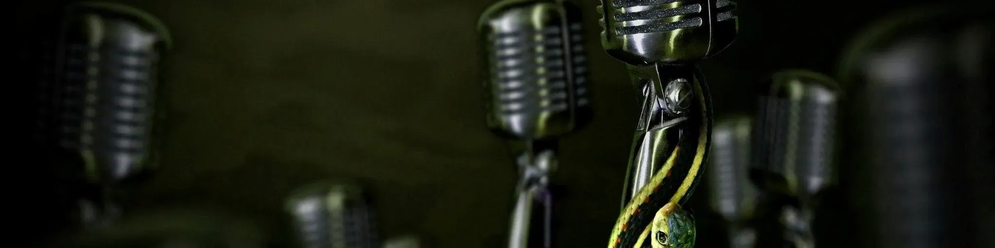 DZ-115 LIPAYANS RADIO STATION