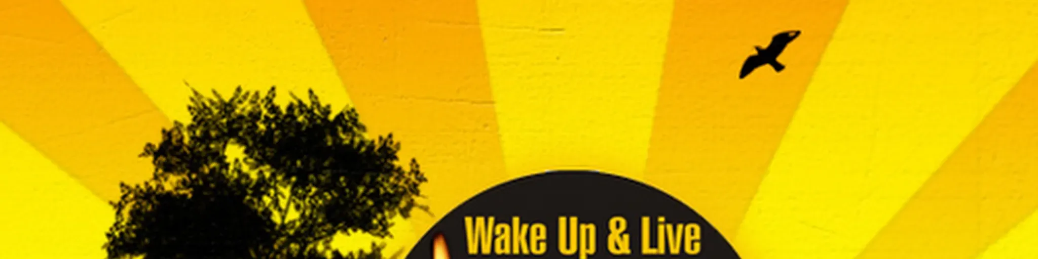 Wake up Radio