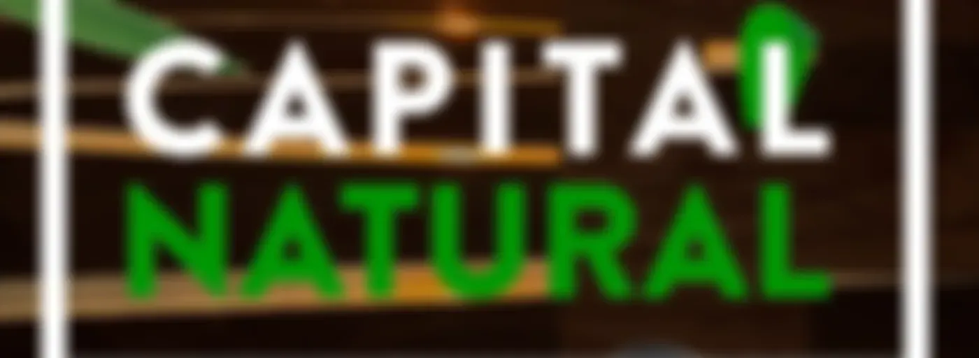 BandNews Capital Natural