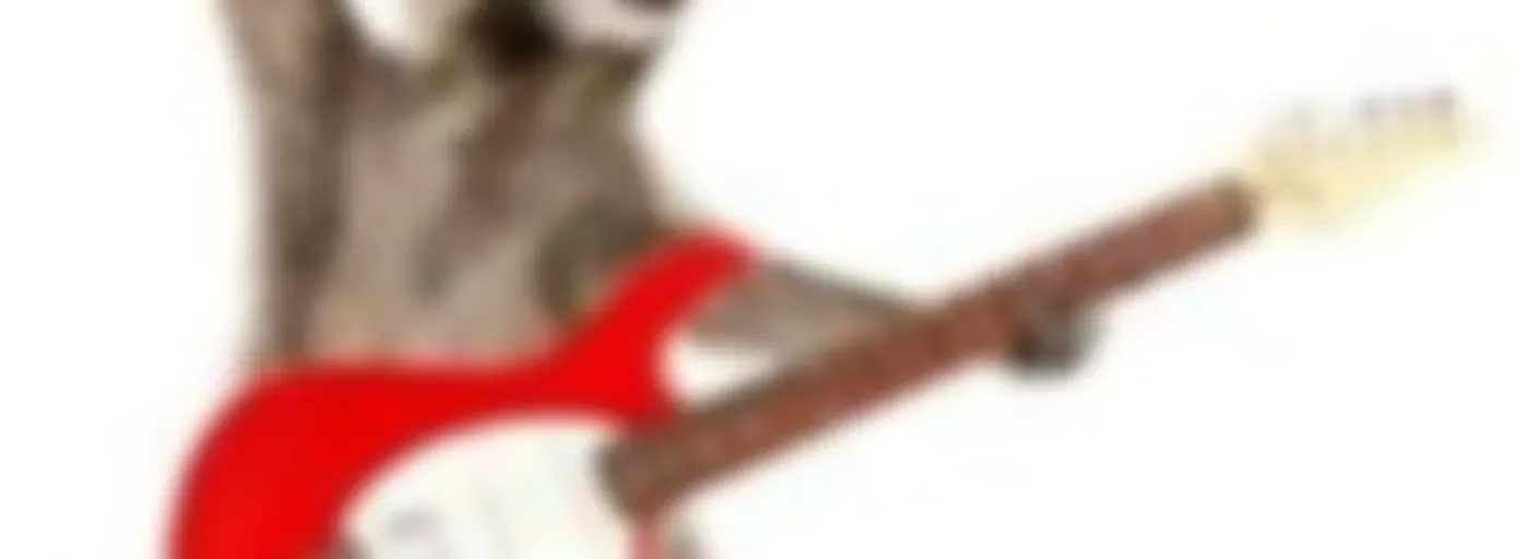 Metal Raccoon