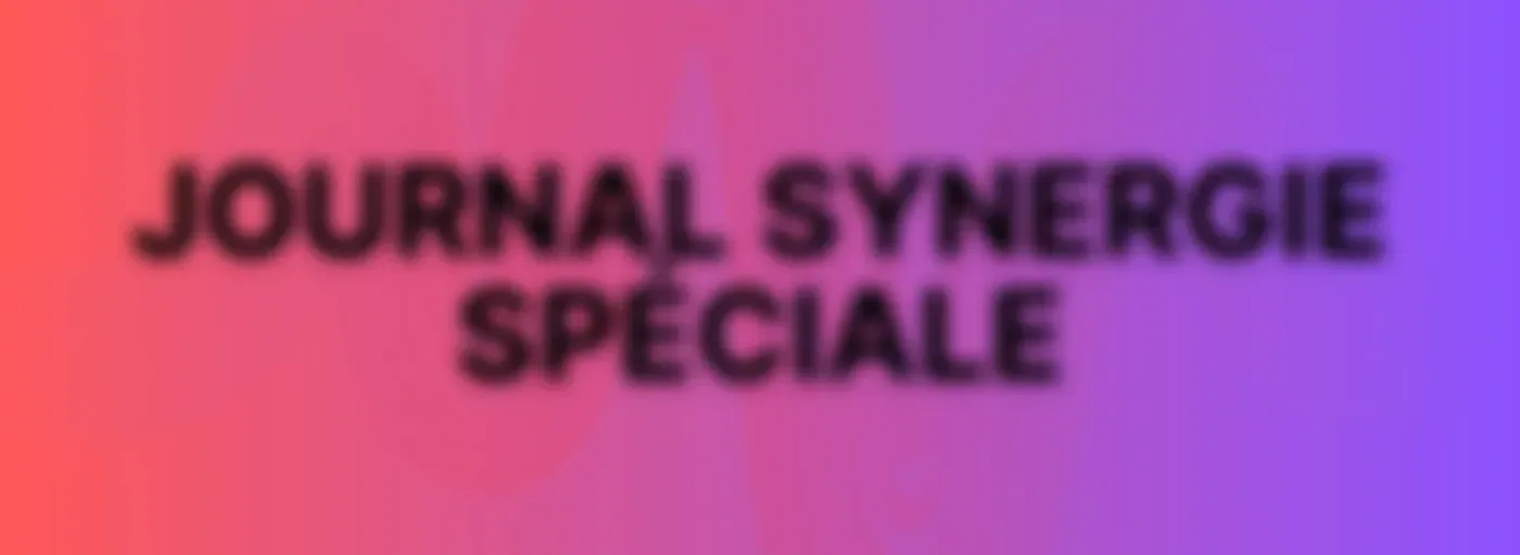 JOURNAL SYNERGIE SPÉCIAL 