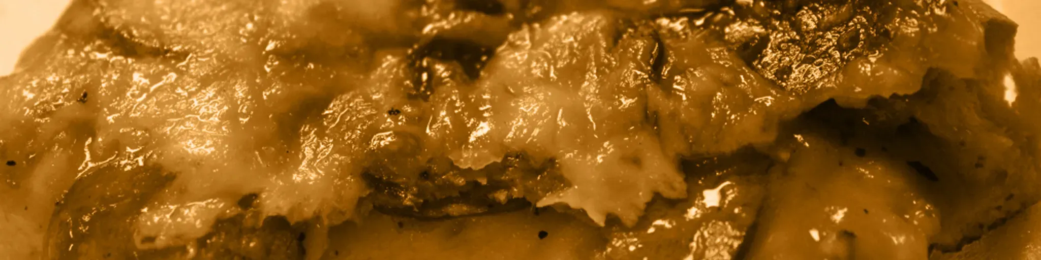 Light Sauce Radio