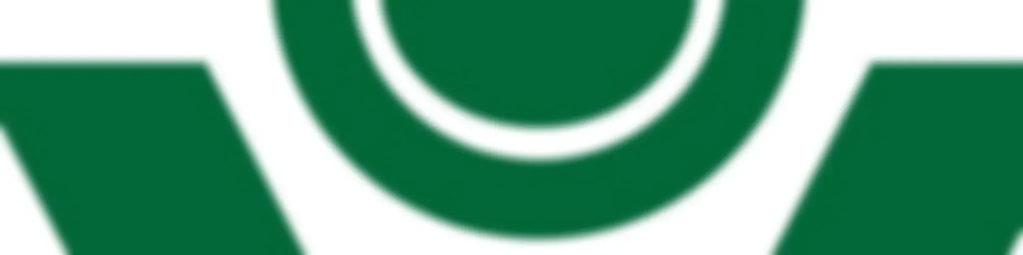 MONDO VERDE - 15 ANOS NO AR