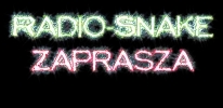 Radio Snake