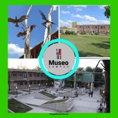 Fm Museo Campus