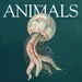 The Animals: Deirdre, Jellyfish