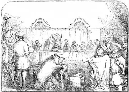 Animals on Trial