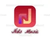 Nds music