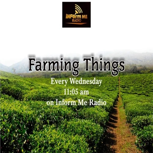 Farming Things 18th of September 2024