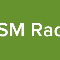 RVSM Radio1