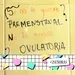 Menstruación