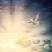 Liberados y empoderados por el Espíritu Santo Hechos: El Evangelio del Espíritu Santo (ep.2)