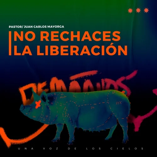 NO RECHACES LA LIBERACIÓN