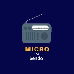 MicroFM