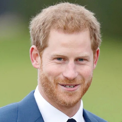 Prince Harry Biography - The Most Important Moments in the Life of a Royal Person