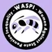 WASPI Campaign