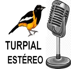 TURPIAL ESTÉREO