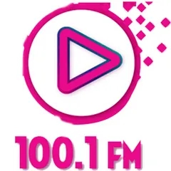 HITS 100.1 FM